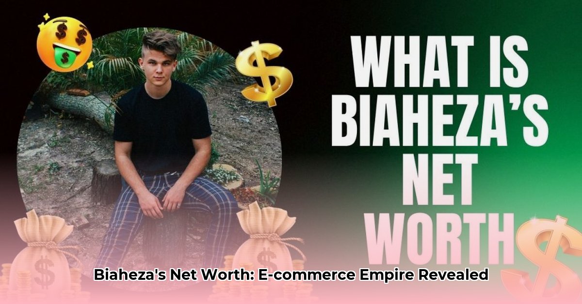 biaheza-net-worth